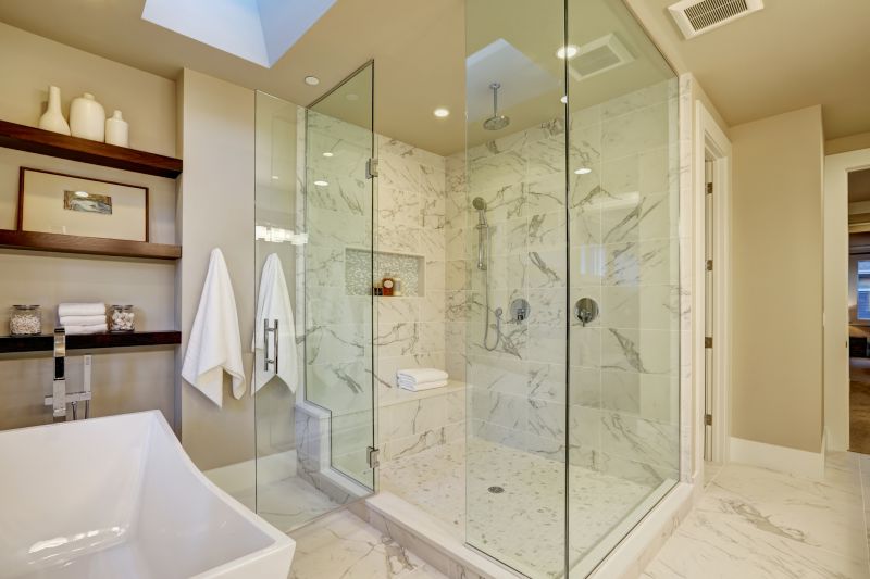 Modern Walk-in Shower with Glass Walls